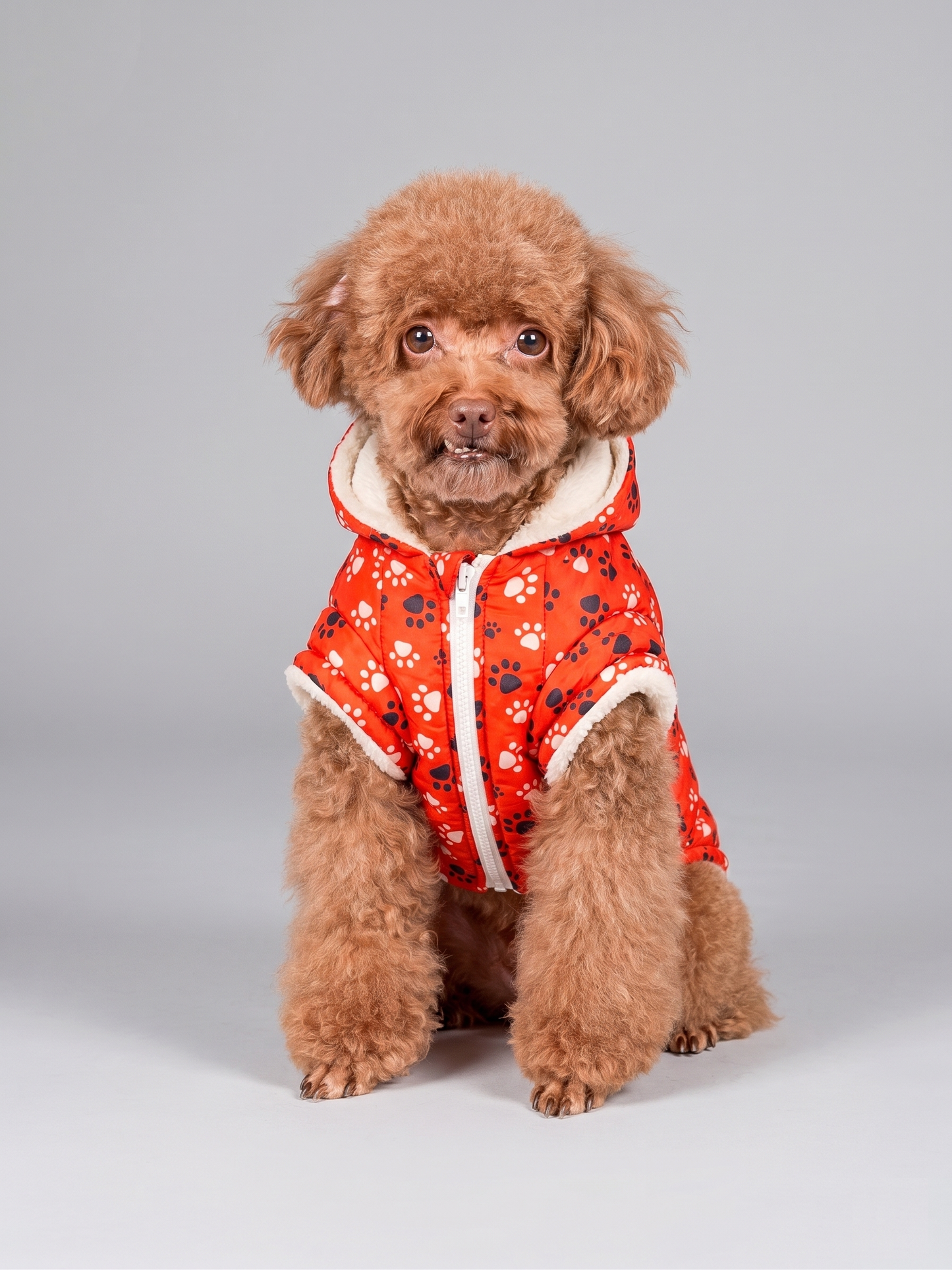 Parka Impermeable con Chiporro y Gorro Roja Perros y Gatos