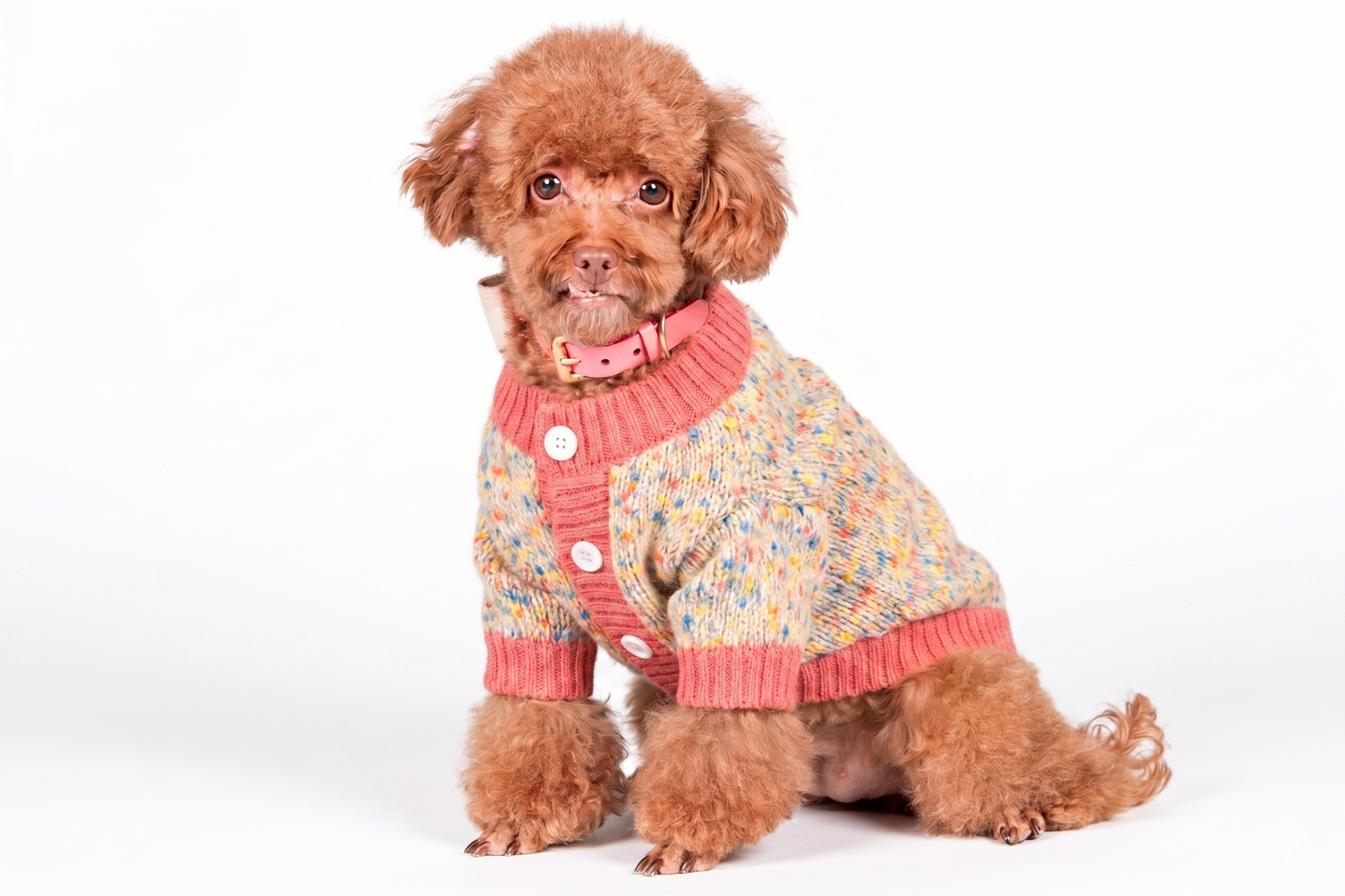 Chaleco con Botones Rosado Perros y Gatos