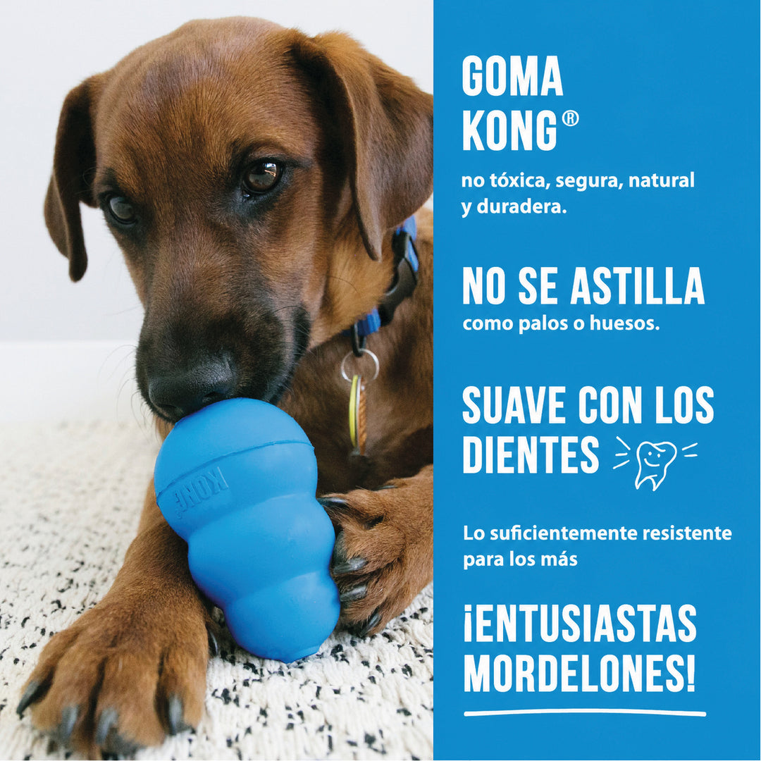 KONG Puppy características del juguete cachorro infografía
