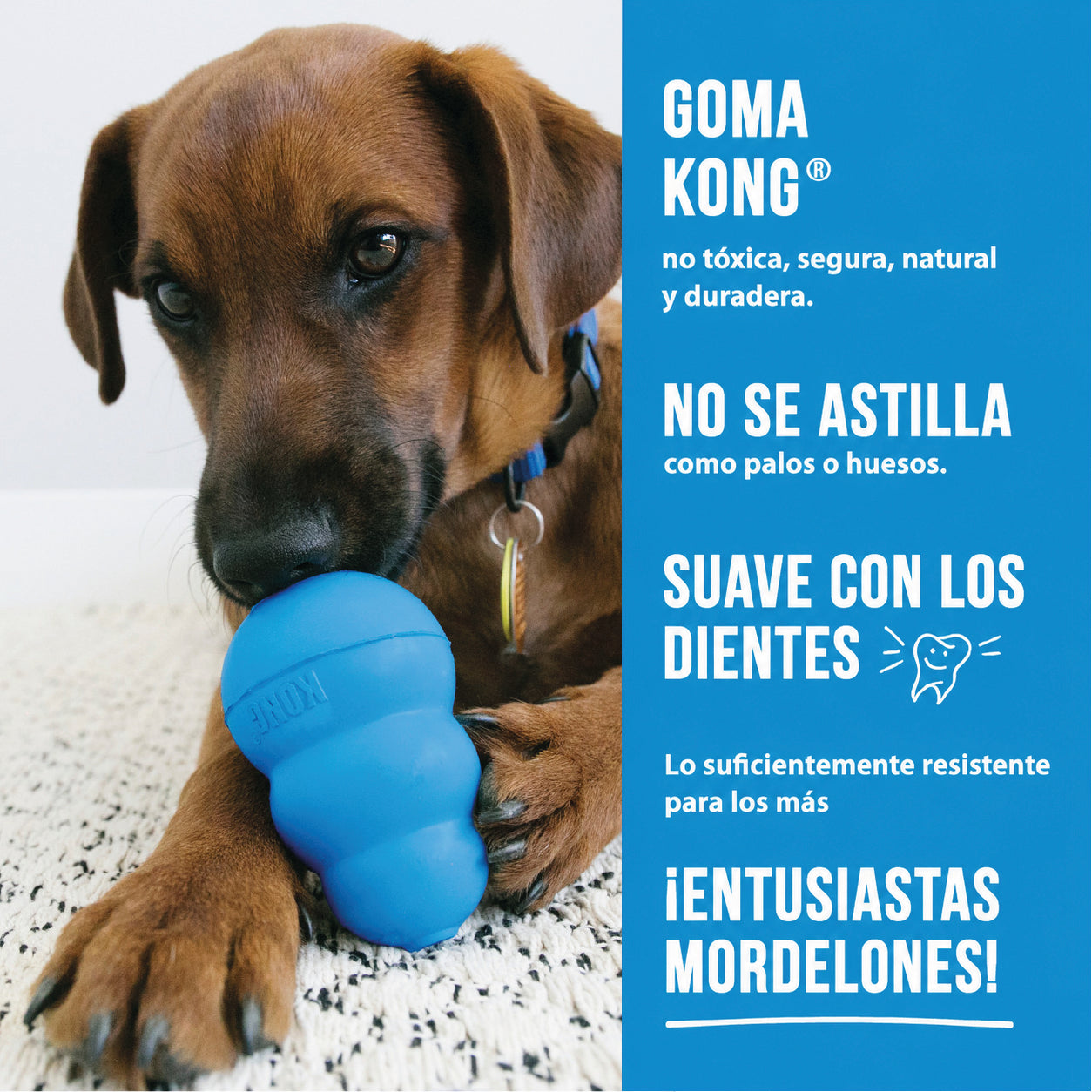KONG Puppy Medium (M) para Cachorros – Juguete Interactivo Rellenable