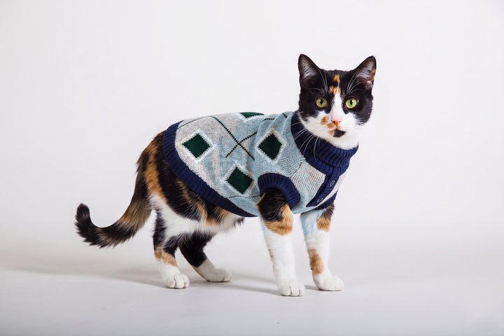 Chaleco beatle rombos celeste gato usando producto