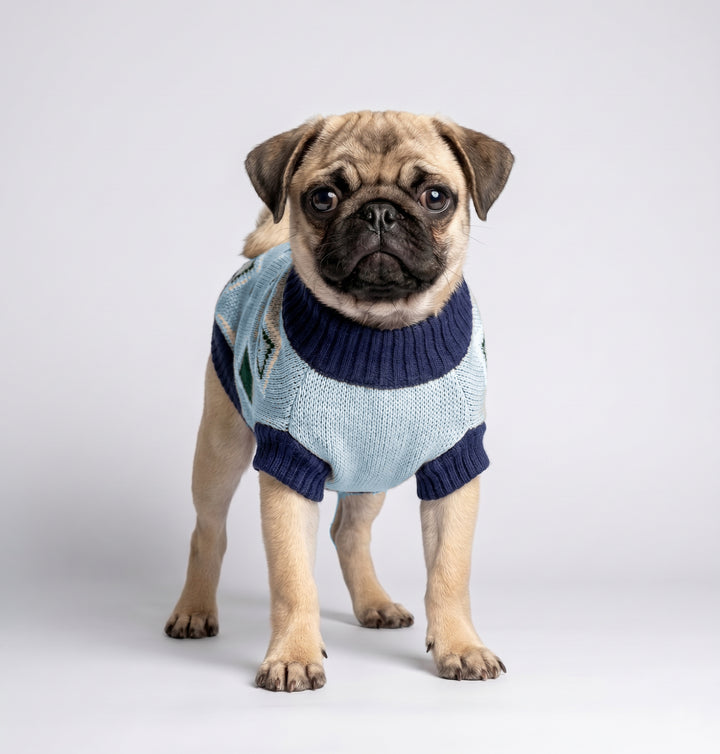 Chaleco beatle rombos celeste perro usando producto