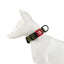 Gigwi Collares Perro Línea Clásica