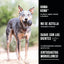 KONG Extreme Medium (M) para Perros – Juguete Rellenable Ultra Resistente