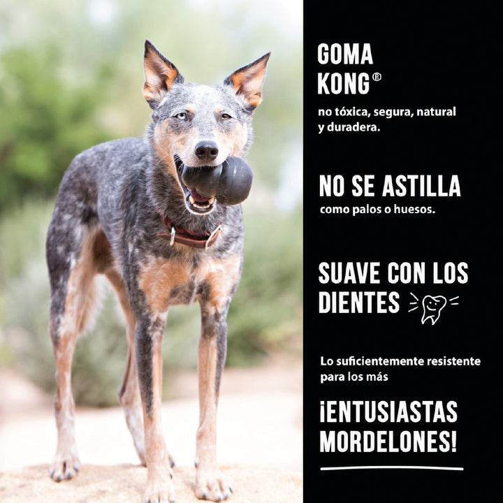 KONG Extreme línea ultra resistente para perros infografía