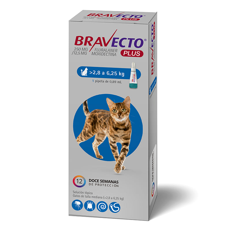 Bravecto Plus pipeta para gatos de 2,8 a 6,25 kg, envase