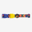 Zee Dog Collar Samba
