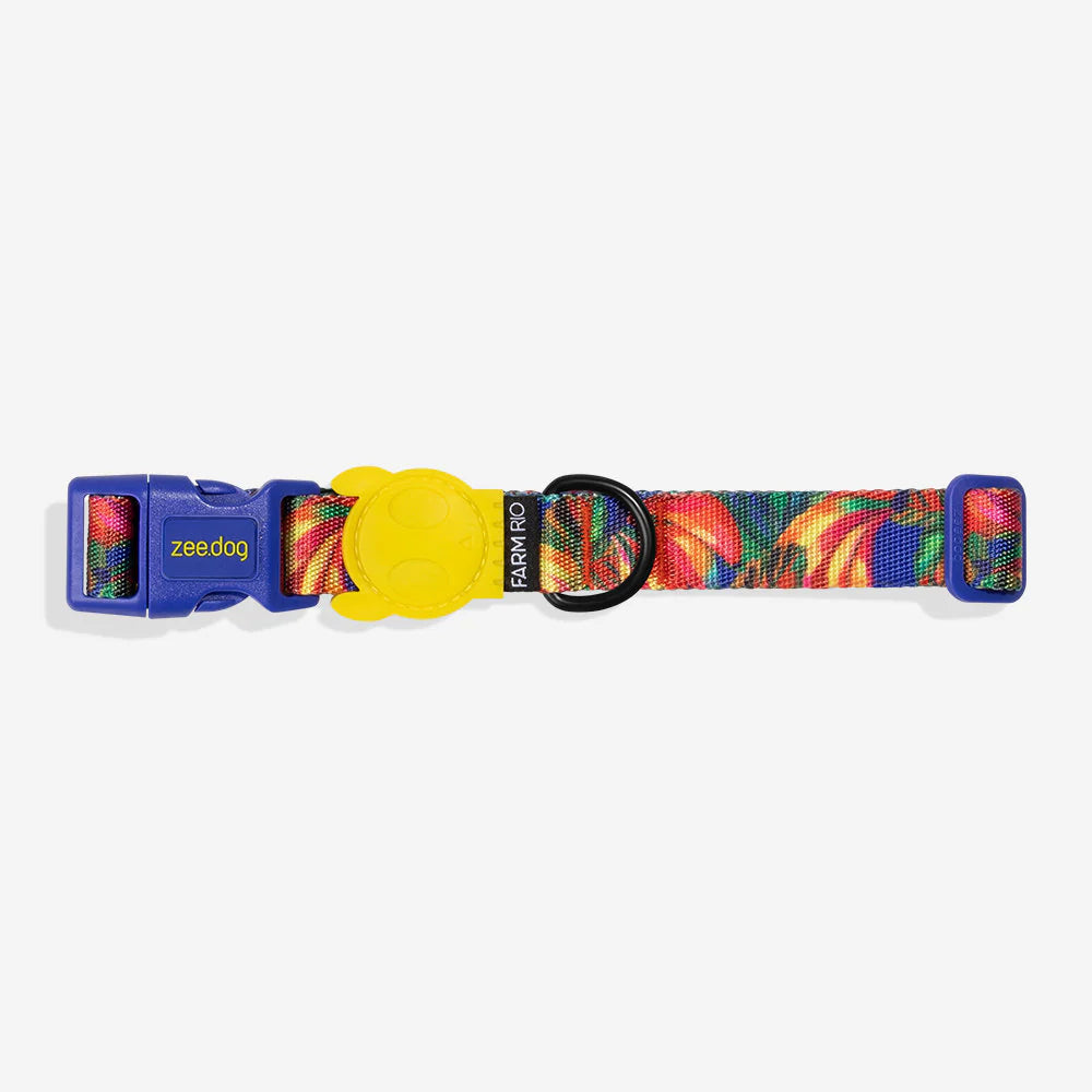 Zee Dog Collar Samba