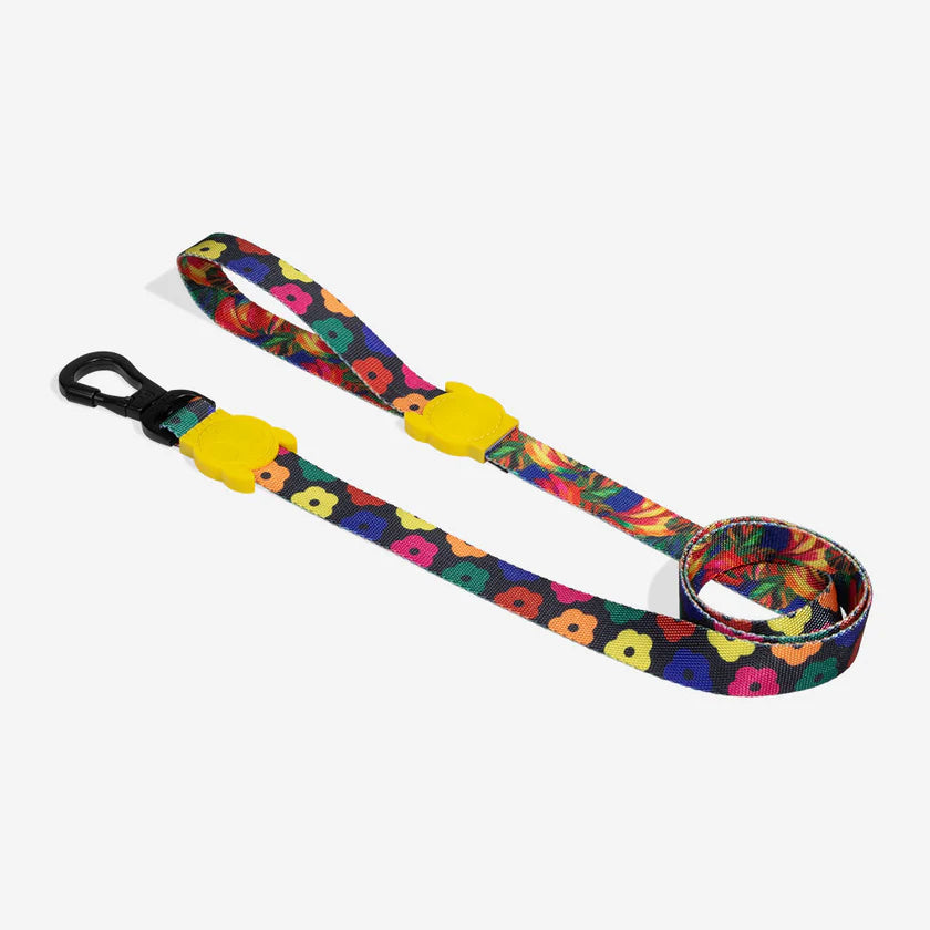 Zee Dog Correa Samba