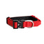 Street Dogs Collar Perro Combat 2,5 cm Rojo