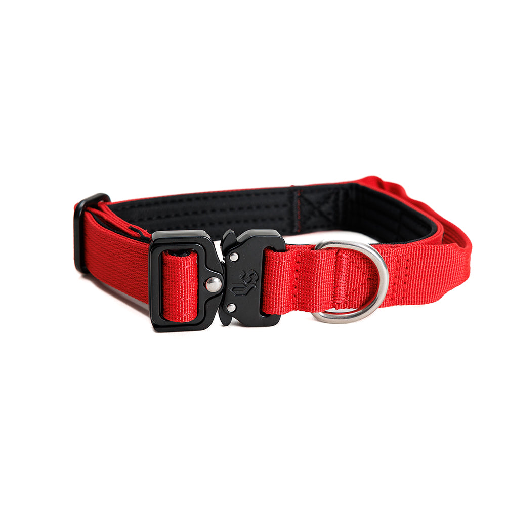 Street Dogs Collar Perro Combat 2,5 cm Rojo