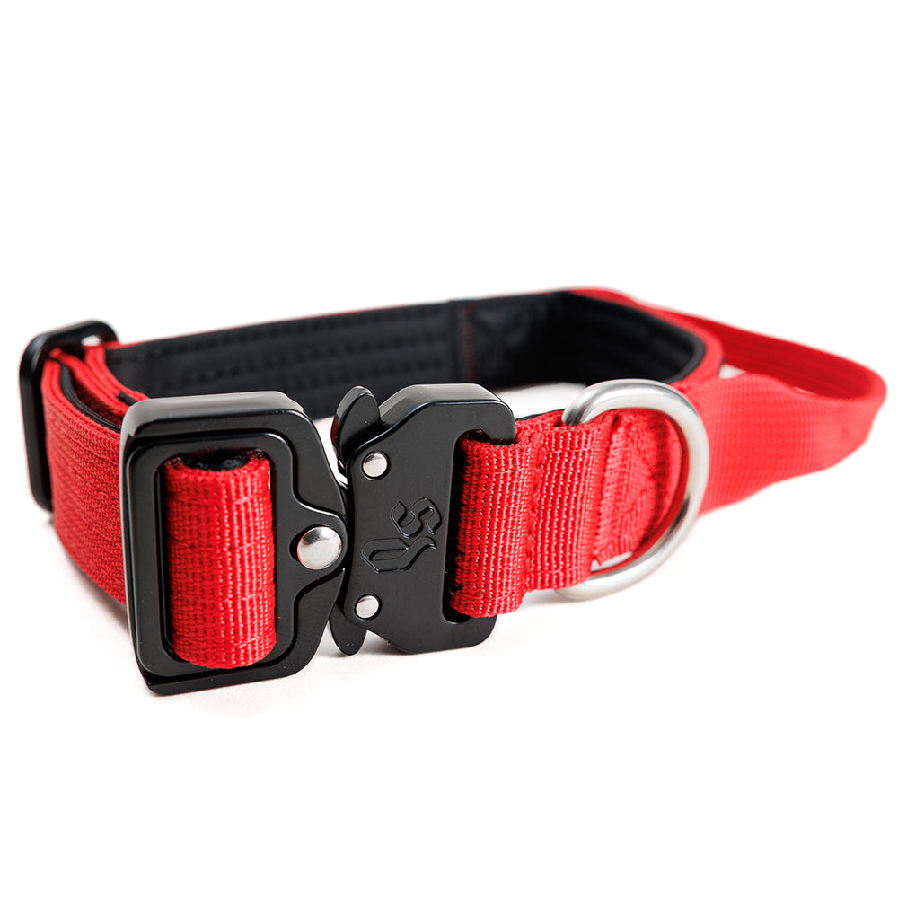 Street Dogs Collar Perro Combat 2,5 cm Rojo, vista 3