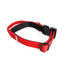 Street Dogs Collar Perro Combat 2,5 cm Rojo, vista 4
