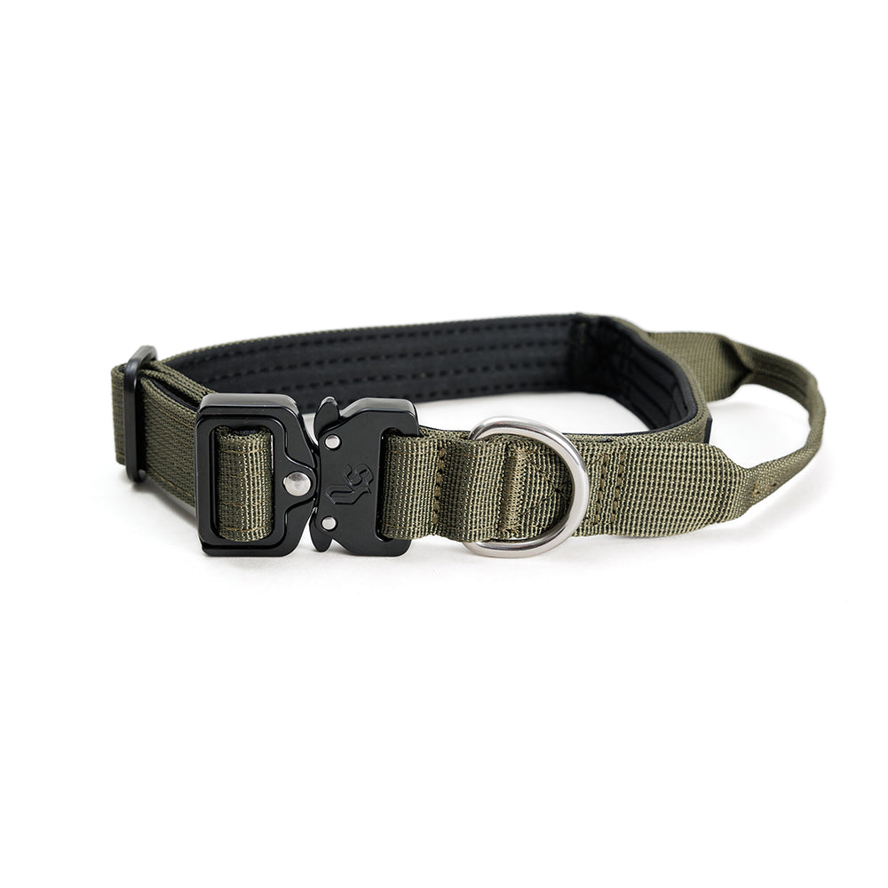 Street Dogs Collar Perro Combat 2,5 cm Khaki