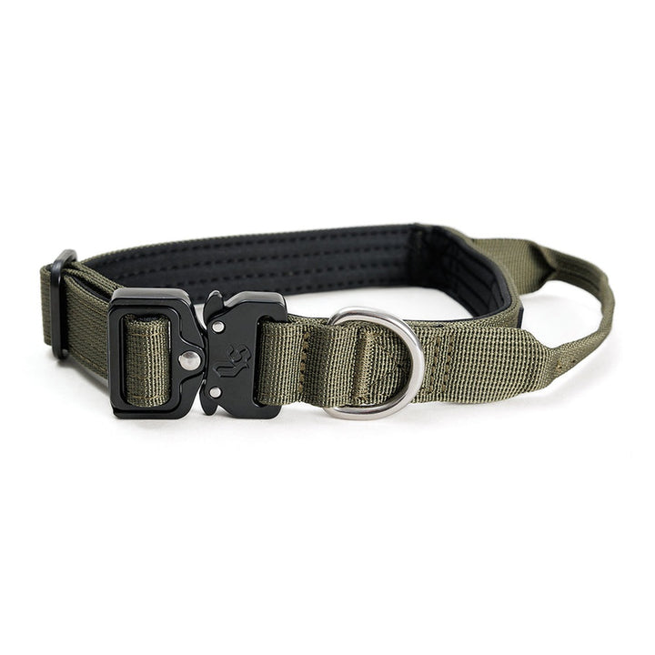 Street Dogs Collar Perro Combat 2,5 cm Khaki