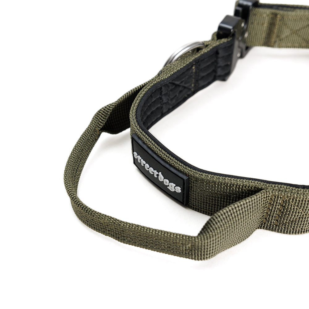 Street Dogs Collar Perro Combat 2,5 cm Khaki, vista 2