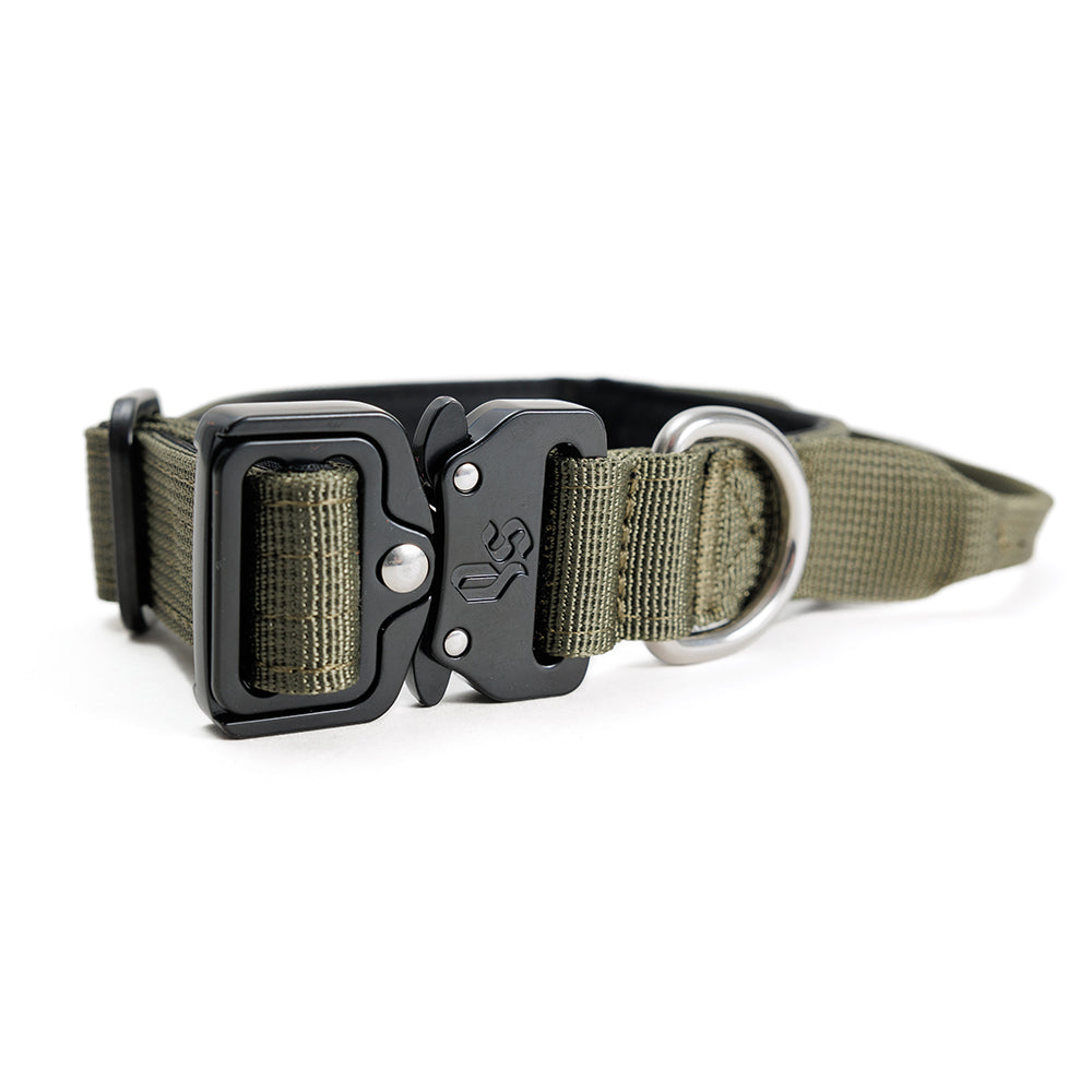 Street Dogs Collar Perro Combat 2,5 cm Khaki, vista 3