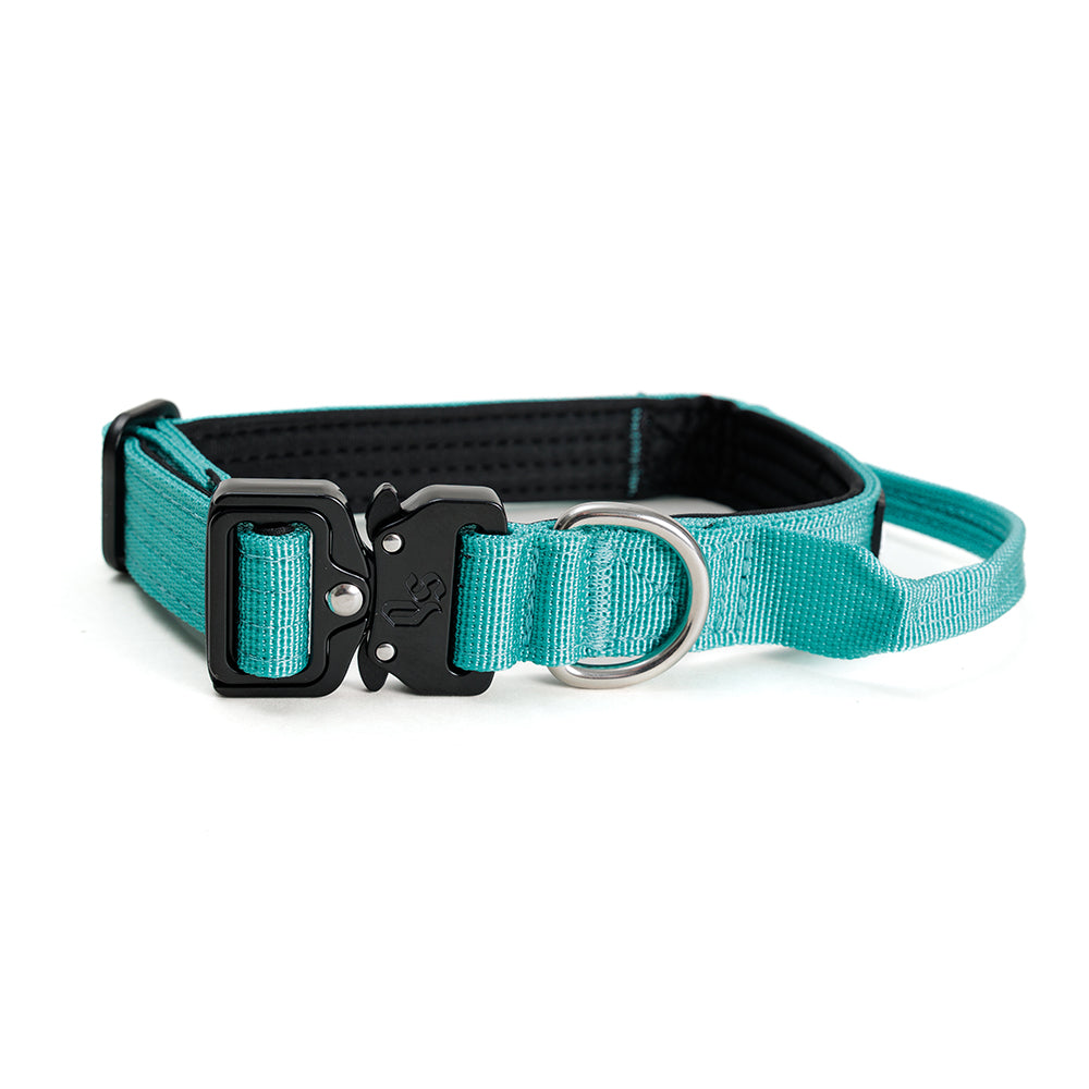 Street Dogs Collar Perro Combat 2,5 cm Turquesa