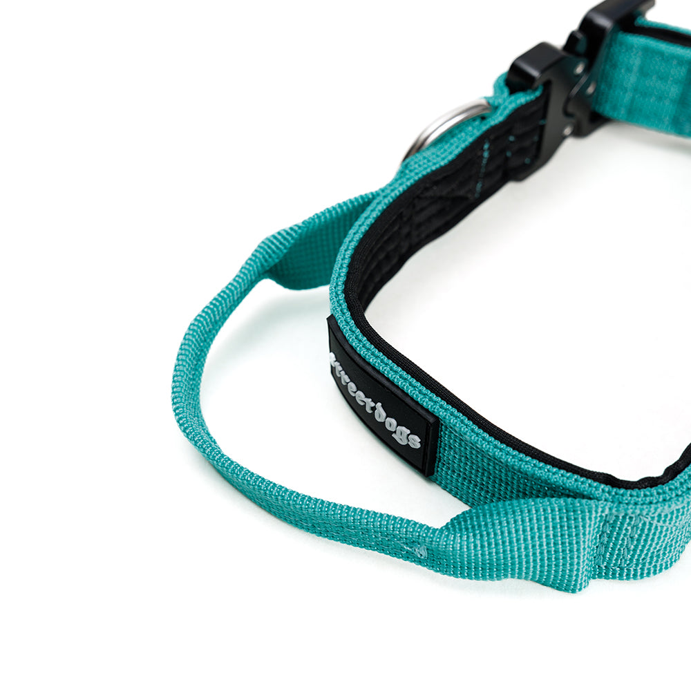 Street Dogs Collar Perro Combat 2,5 cm Turquesa, vista 2