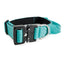 Street Dogs Collar Perro Combat 2,5 cm Turquesa, vista 3