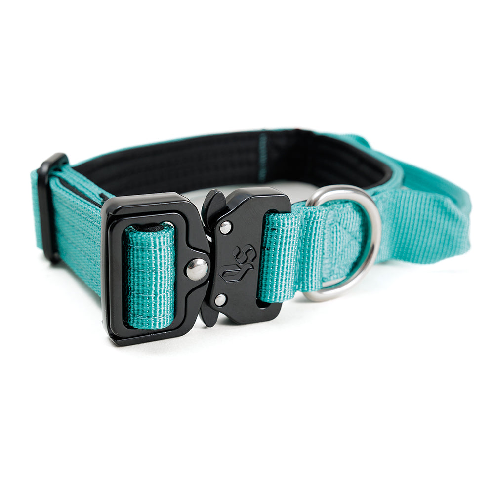 Street Dogs Collar Perro Combat 2,5 cm Turquesa, vista 3