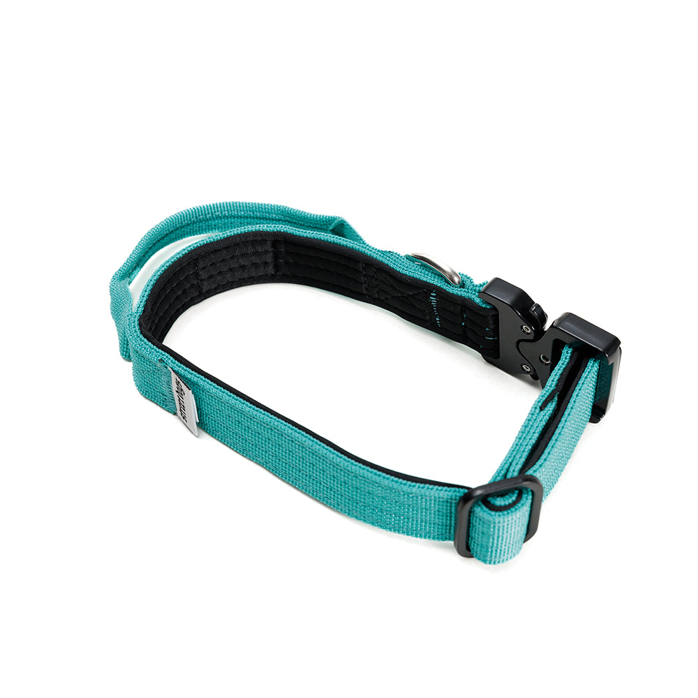 Street Dogs Collar Perro Combat 2,5 cm Turquesa, vista 4