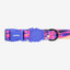Zee Dog Collar Glitch Error #500