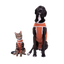 Gato y perro con el body post operatorio Kimba BodyCobre Tradicional color cobre