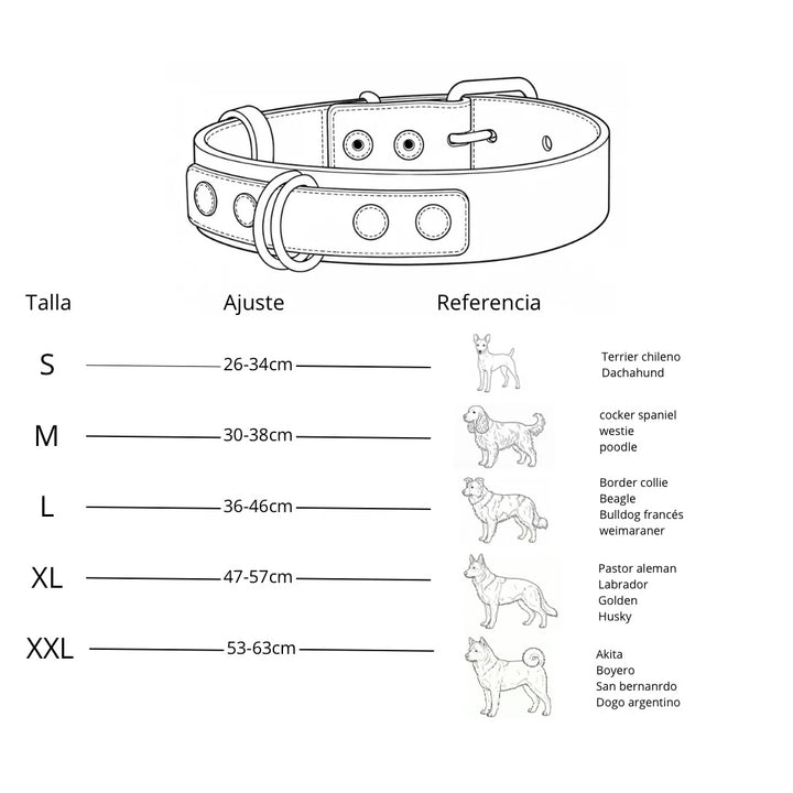 Collar Perro Lassie Cuero Celeste