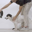 Zee Dog Arnés Flyharness Reebok Aerobic