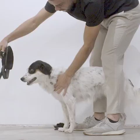 REEBOK Aerobic Arnés Fly Harness Perros, video del producto