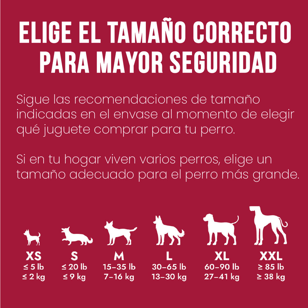 KONG seguridad y tamaño correcto para perros guía infografía