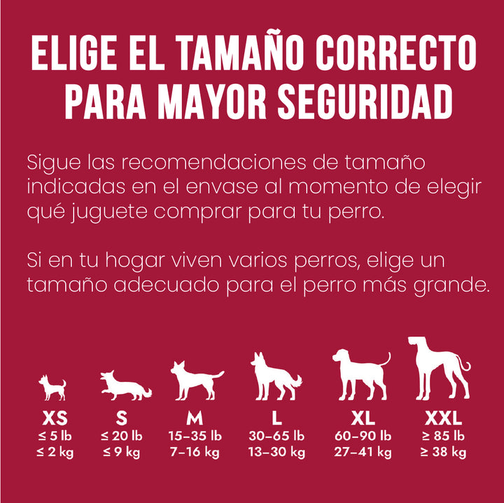 KONG seguridad y tamaño correcto para perros guía infografía