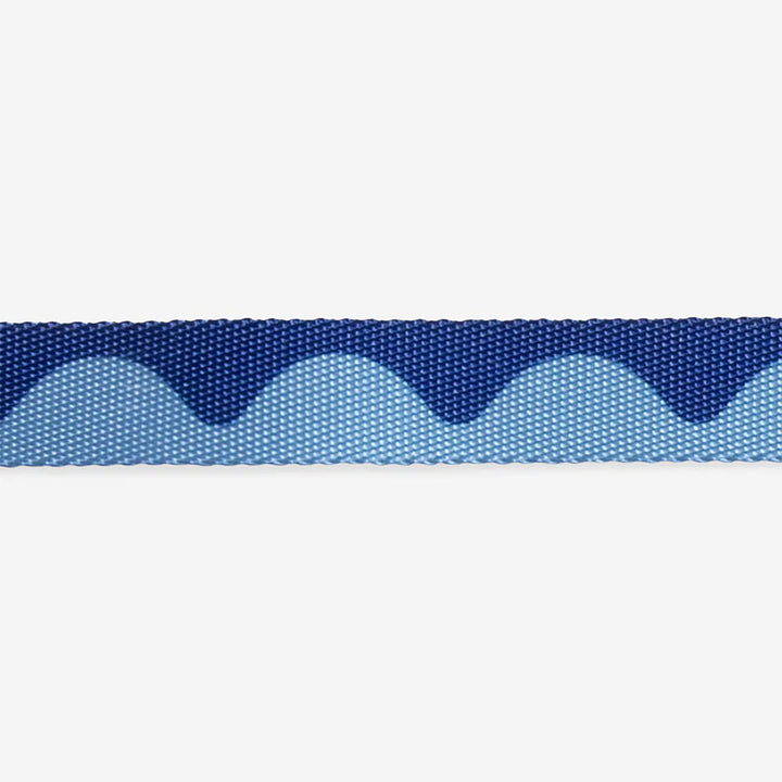 Zee Dog Swell collar para perros en uso