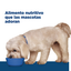Hill's Prescription Diet Perro z/d Small Bites 1.5 Kg