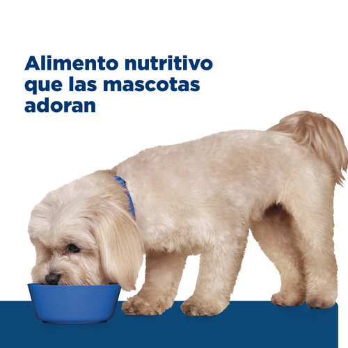 Hill's Prescription Diet Perro z/d Small Bites 1.5 Kg