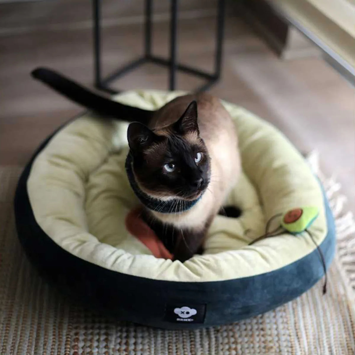 BRNX Cama Palta Lover Talla S