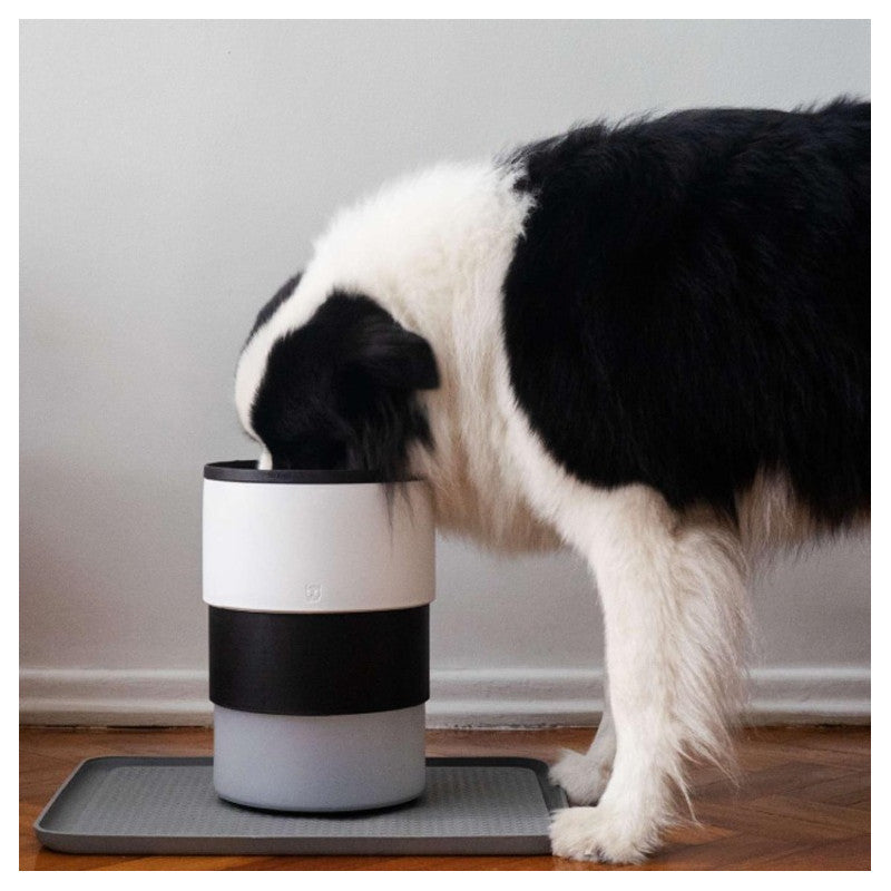 Zee Dog Bowl Perro Plato Ajustable Gotham Negro