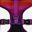 Zee Dog Arnés Ajustable Air Mesh Prisma L
