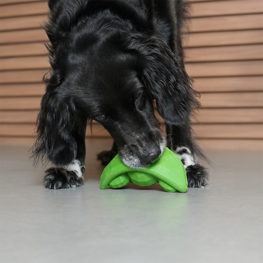 Zee Dog Super Green Peas