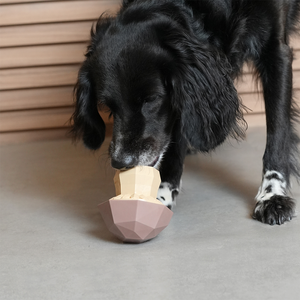 Zee Dog Super Mushroom