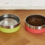 Zee Dog Tuff Bowl Lime Green 1.2 Litros
